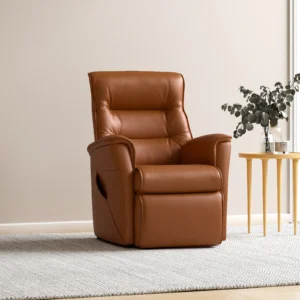 Paramount Multi-Function Lift Relaxer Chair